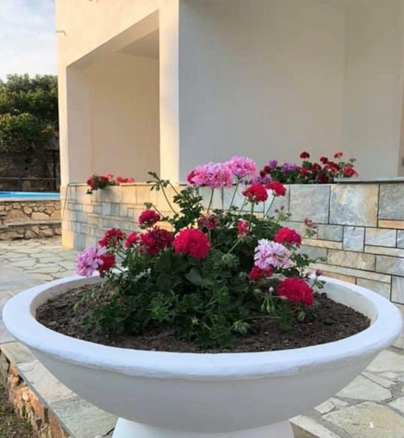 Villa Spartias Skiathos Town Exterior photo